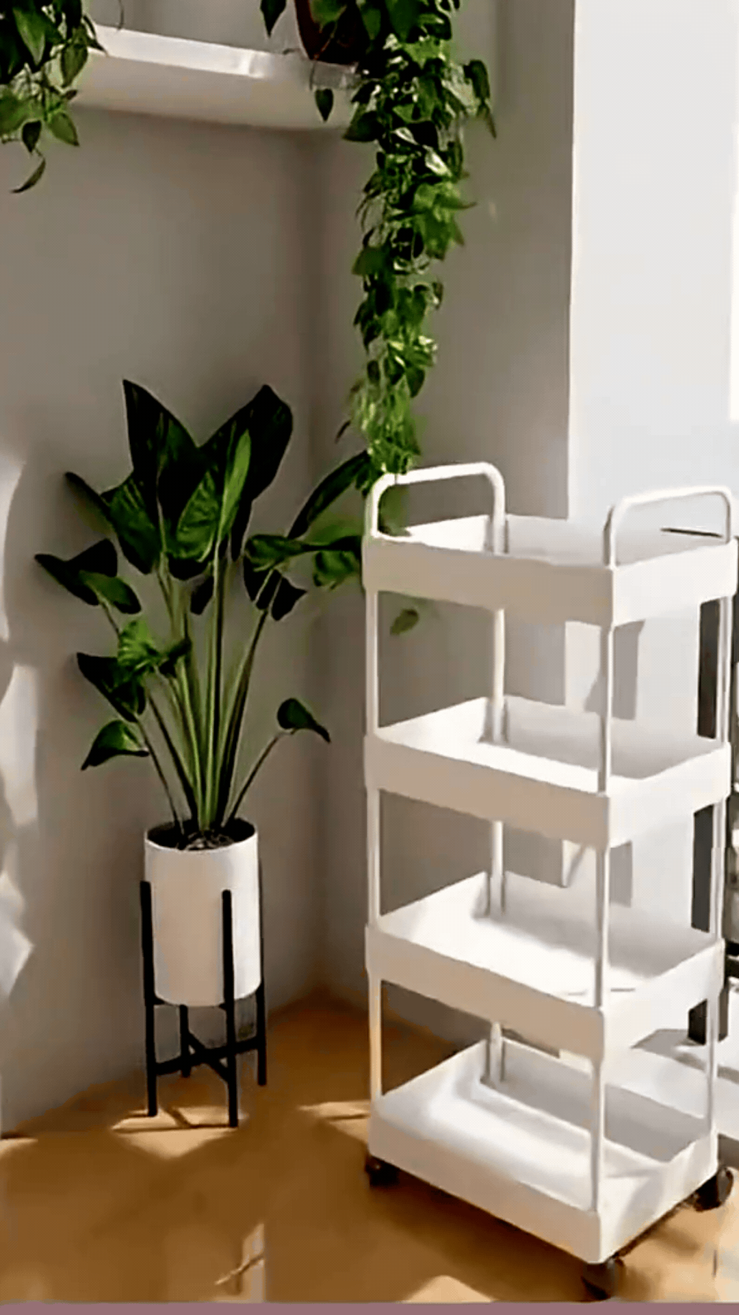 Organizador de 4 niveles para el hogar